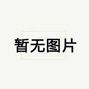 濃相氣力輸送技術(shù)